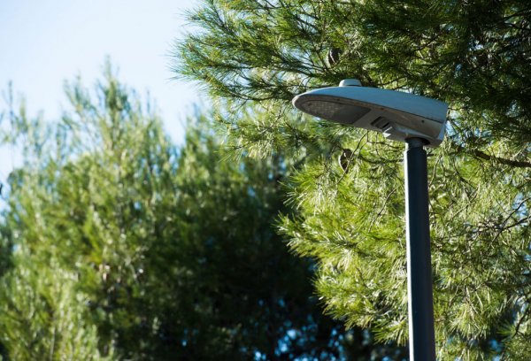 Renovación luminarias