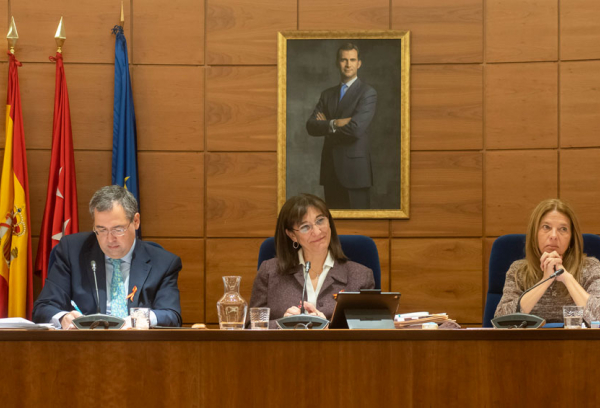 Pleno del mes de febrero de 2019