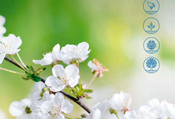 Cartel Día Mundial del Medio Ambiente