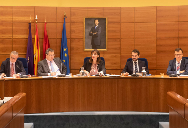 Sesión plenaria noviembre 2019