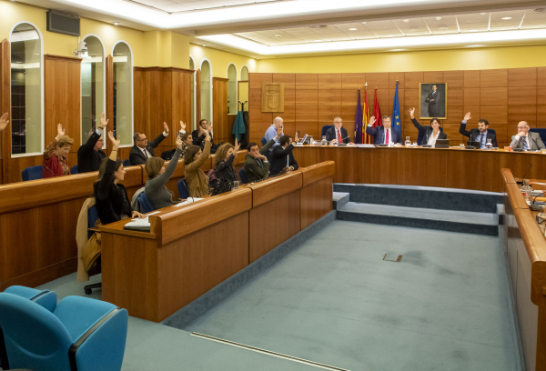 Pleno Extraordinario del mes de noviembre