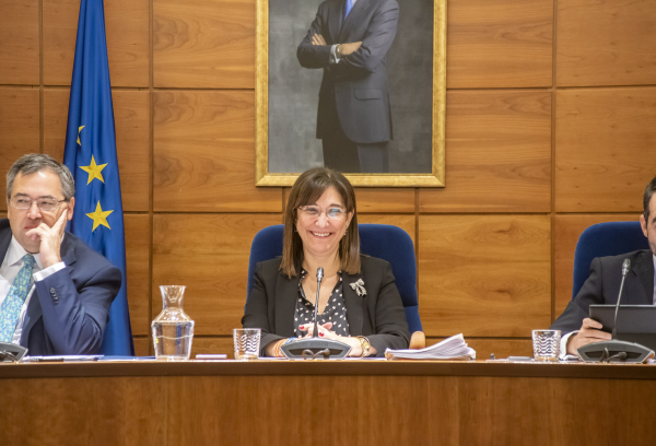 Sesión plenaria diciembre 2019