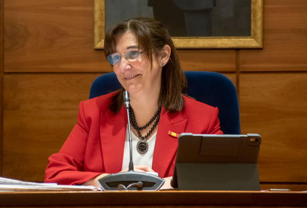 La alcaldesa de Pozuelo, Susana Pérez Quislant, durante la celebración del pleno del mes de enero