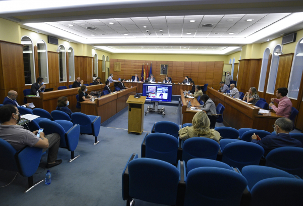 Imagen del pleno ordinario de julio 2020