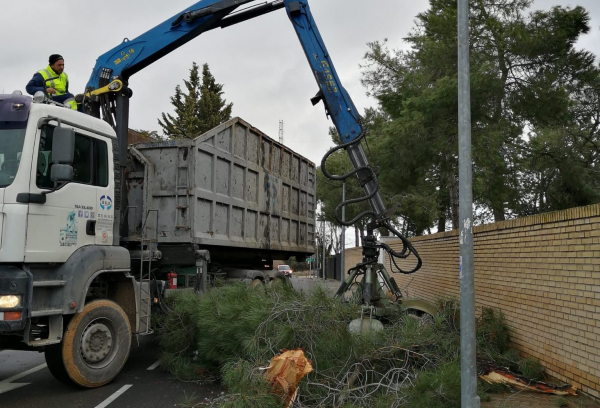 recogida de restos de poda