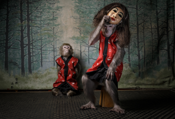 FOTO Jasper Doest. Mascara de mono