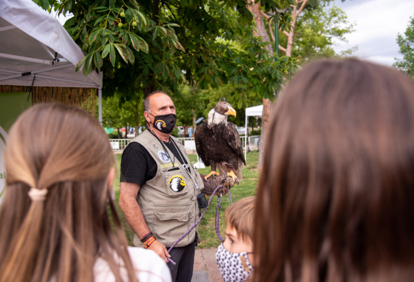 Pozuelo celebra Día del Medio Ambiente