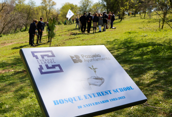 Plantación de árboles en un colegio de la ciudad