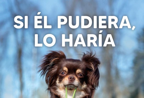 Campaña de vigilancia y sensibilización para la recogida de excrementos caninos