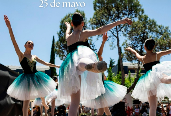 Cartel Día de la Danza