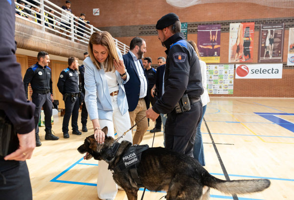 Exhibición unidades caninas municipales